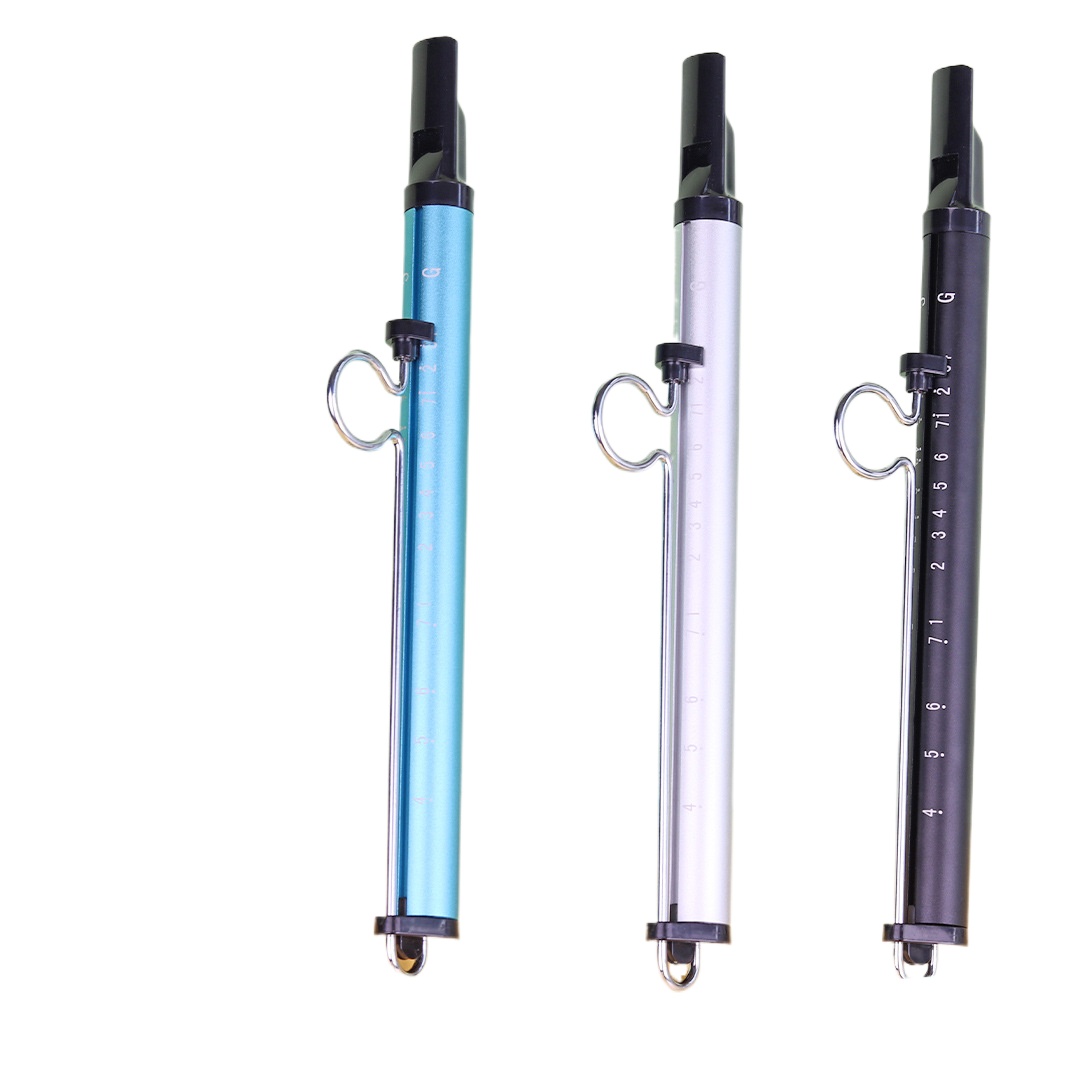 Musical Instrument Piccolo - Müzik Aleti Slayt Düdük Oyuncak Üfleme