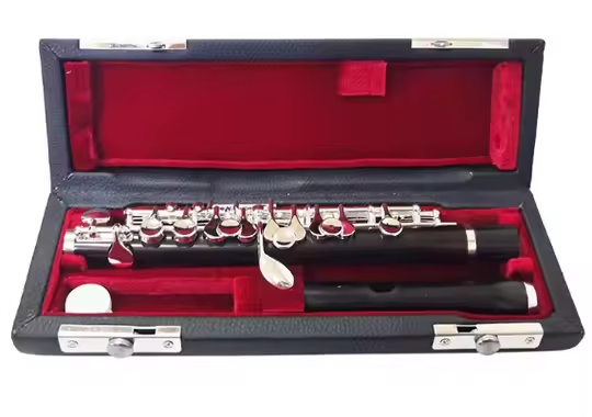 Gümüş Kaplama Müzik Aleti ile  - Musical Instrument Piccolo incelemesi ve fiyatı